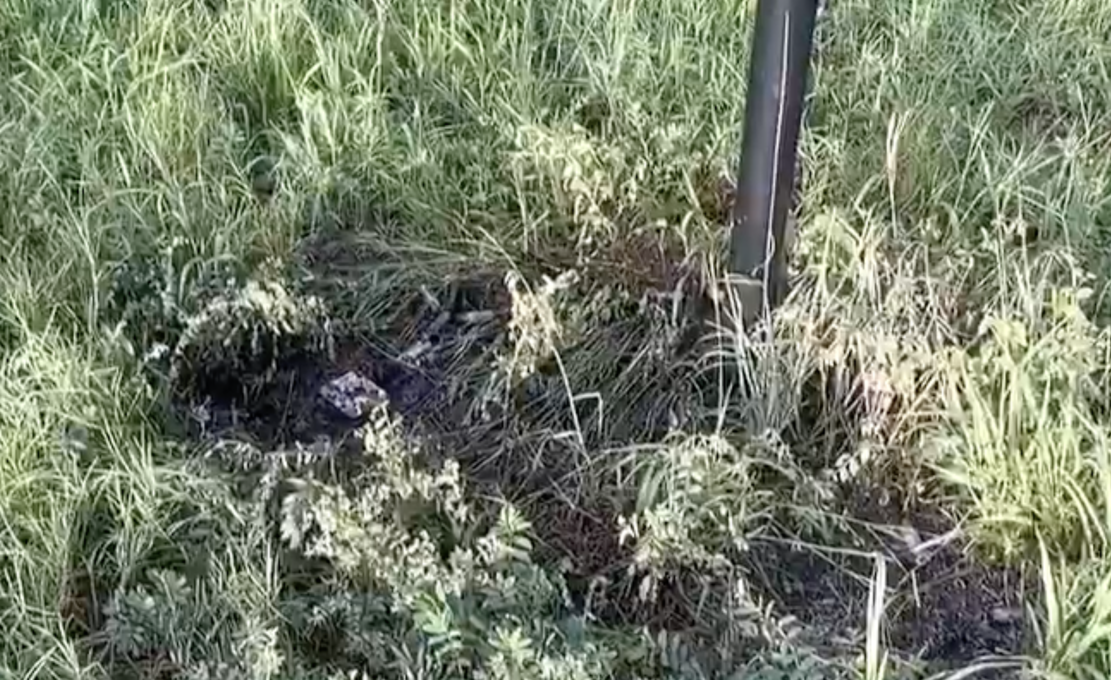 Burned patch of roadside grass at the base of an intact Flock camera pole