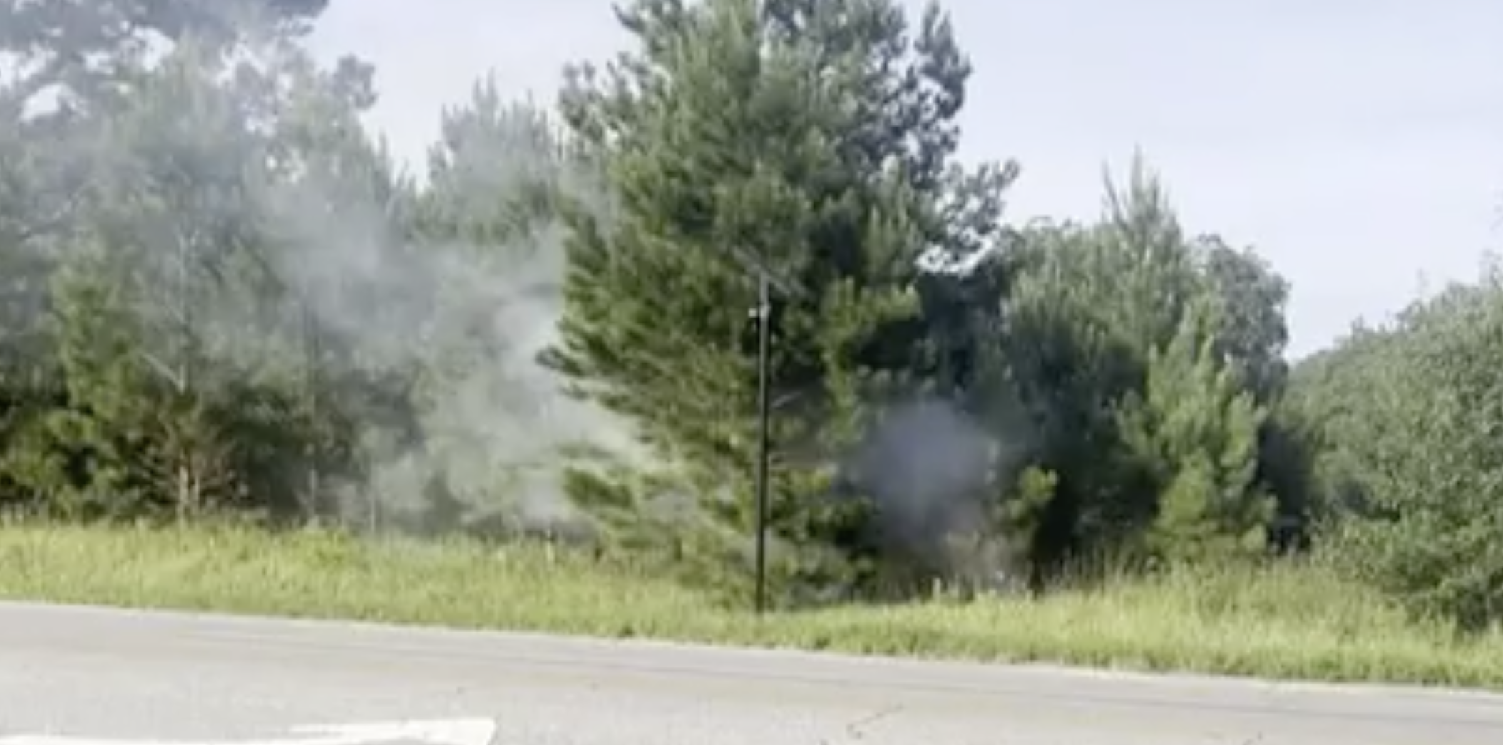 Smoke drifting from the road shoulder into the pine stand behind it, camera pole standing at center